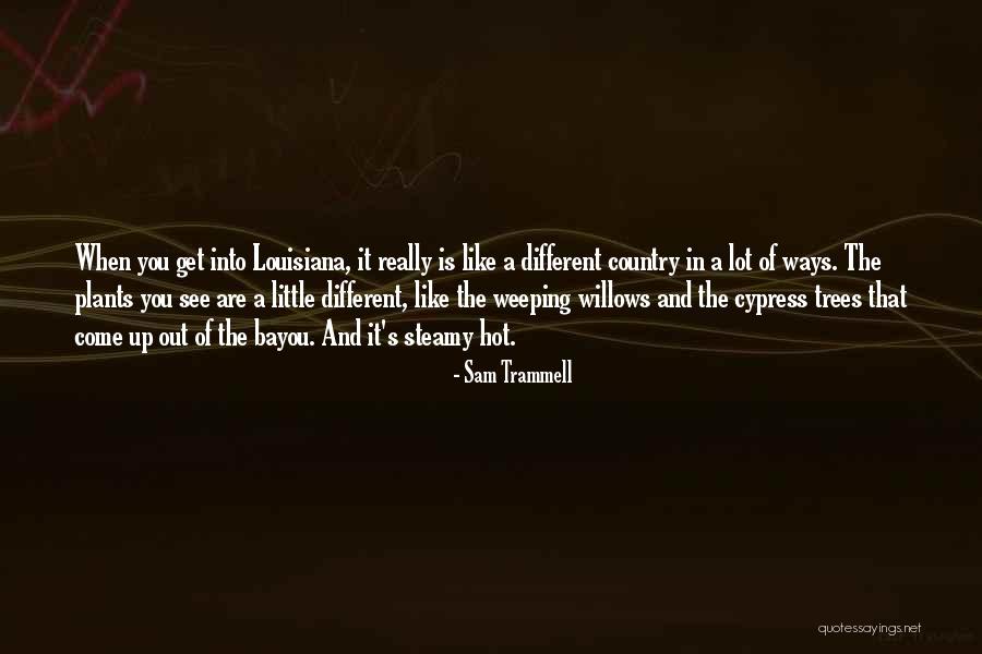 Louisiana Bayou Quotes By Sam Trammell Louisiana Bayou Quotes By Sam Trammell