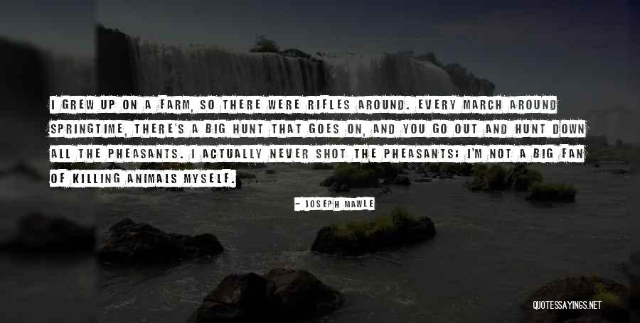 Louison Blivet Quotes By Joseph Mawle Louison Blivet Quotes By Joseph Mawle