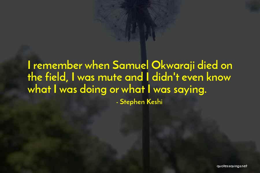 Loukas Angelo Quotes By Stephen Keshi Loukas Angelo Quotes By Stephen Keshi