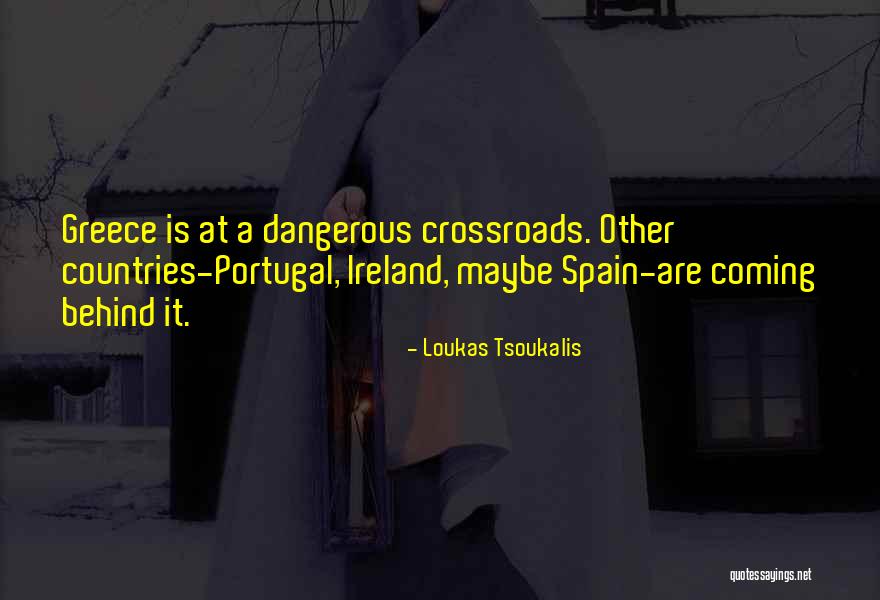 Loukas Tsoukalis Quotes 2257937