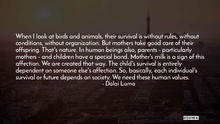 Loulay Quotes By Dalai Lama Loulay Quotes By Dalai Lama