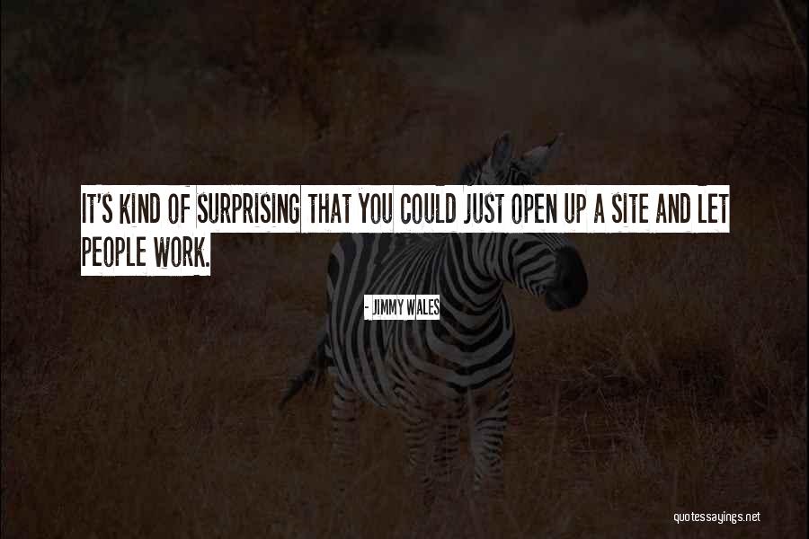 Loulay Quotes By Jimmy Wales Loulay Quotes By Jimmy Wales