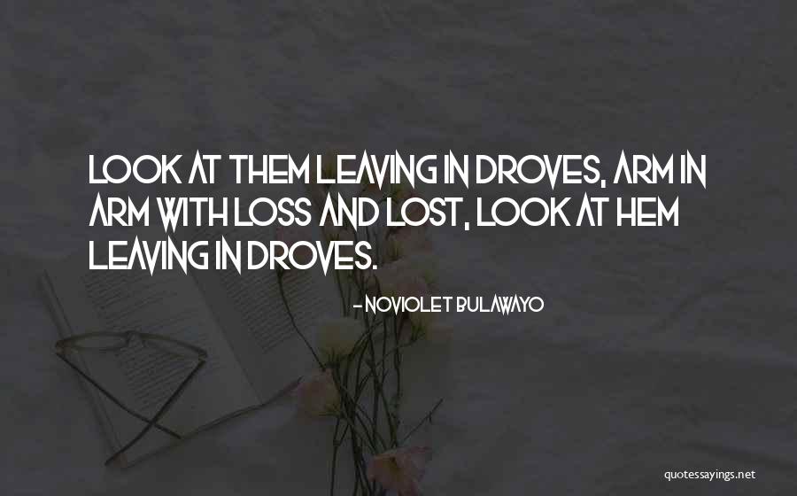 Loulay Quotes By NoViolet Bulawayo Loulay Quotes By NoViolet Bulawayo