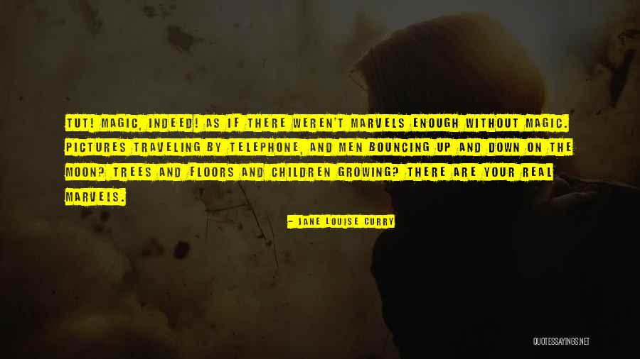 Lounas Chebana Quotes By Jane Louise Curry Lounas Chebana Quotes By Jane Louise Curry
