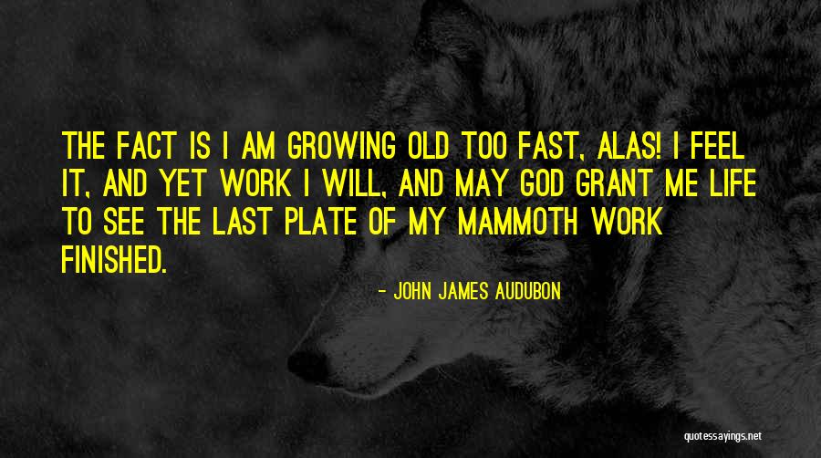 Louons Le Quotes By John James Audubon Louons Le Quotes By John James Audubon