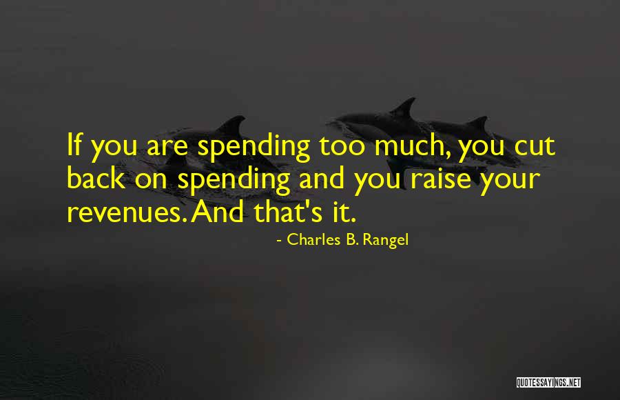 Lourdes Grotto Quotes By Charles B. Rangel Lourdes Grotto Quotes By Charles B. Rangel