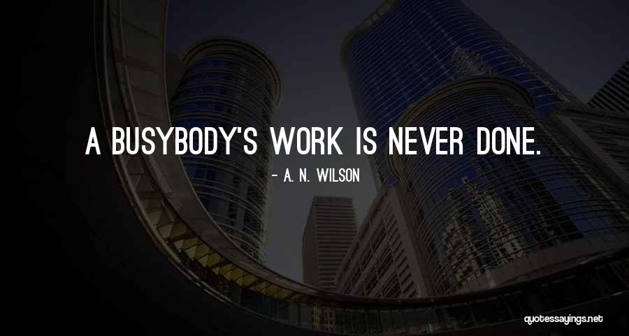 Louse Store Quotes By A. N. Wilson