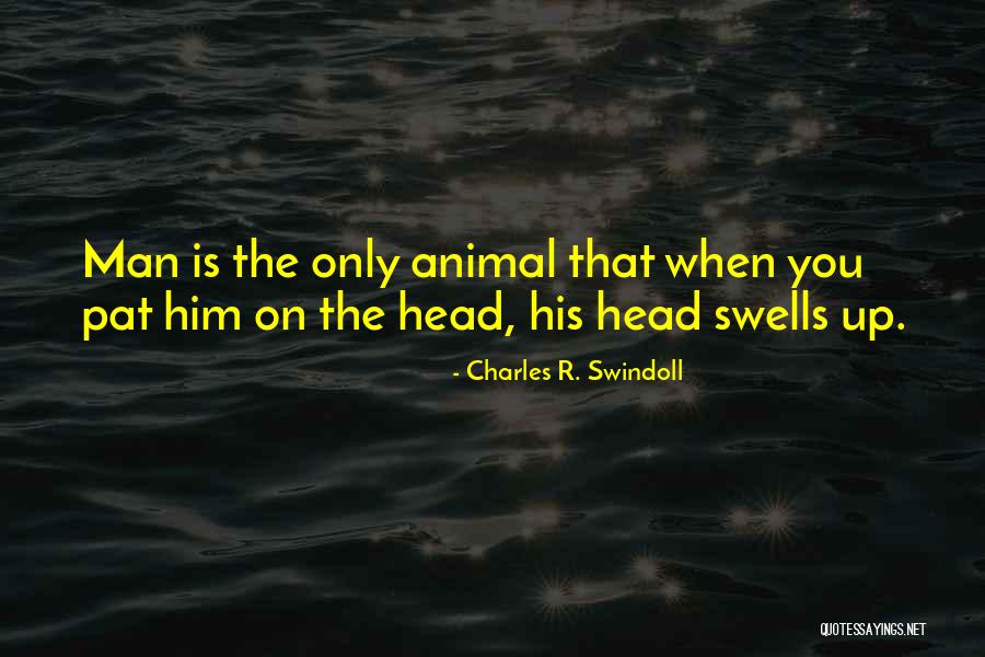 Lousey Quotes By Charles R. Swindoll Lousey Quotes By Charles R. Swindoll