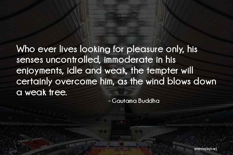 Loustalet Hotel Quotes By Gautama Buddha Loustalet Hotel Quotes By Gautama Buddha
