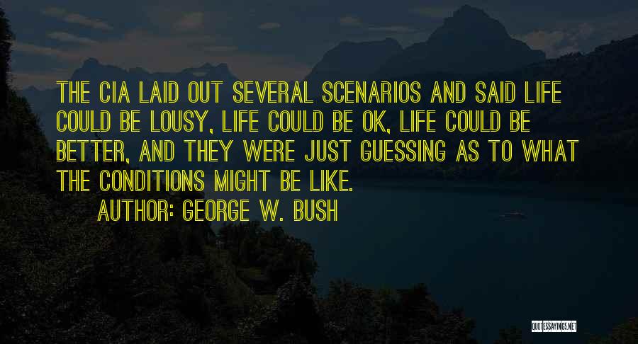 Lousy Life Quotes By George W. Bush