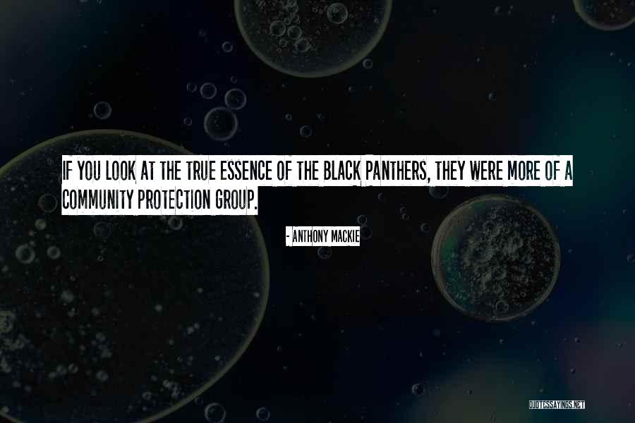 Louvat Promotions Quotes By Anthony Mackie Louvat Promotions Quotes By Anthony Mackie