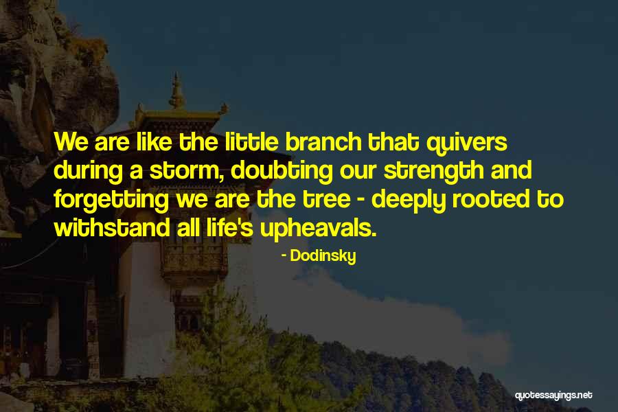 Louveteau Quotes By Dodinsky Louveteau Quotes By Dodinsky