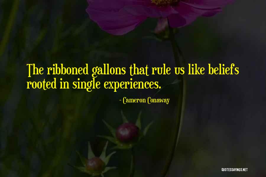 Louviere Quotes By Cameron Conaway Louviere Quotes By Cameron Conaway