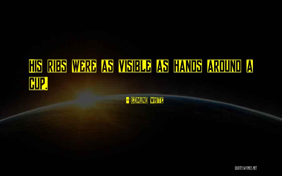 Louvretec Quotes By Edmund White Louvretec Quotes By Edmund White
