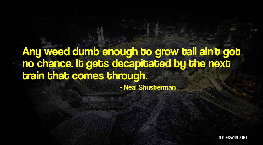 Louwana Curren Quotes By Neal Shusterman Louwana Curren Quotes By Neal Shusterman