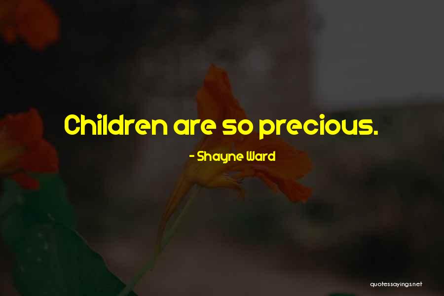 Lovacat Quotes By Shayne Ward Lovacat Quotes By Shayne Ward