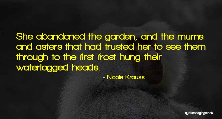 Love Abandoned Quotes By Nicole Krauss Love Abandoned Quotes By Nicole Krauss