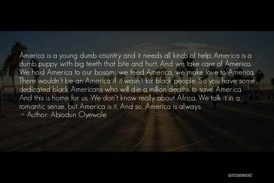 Love Africa Quotes By Abiodun Oyewole