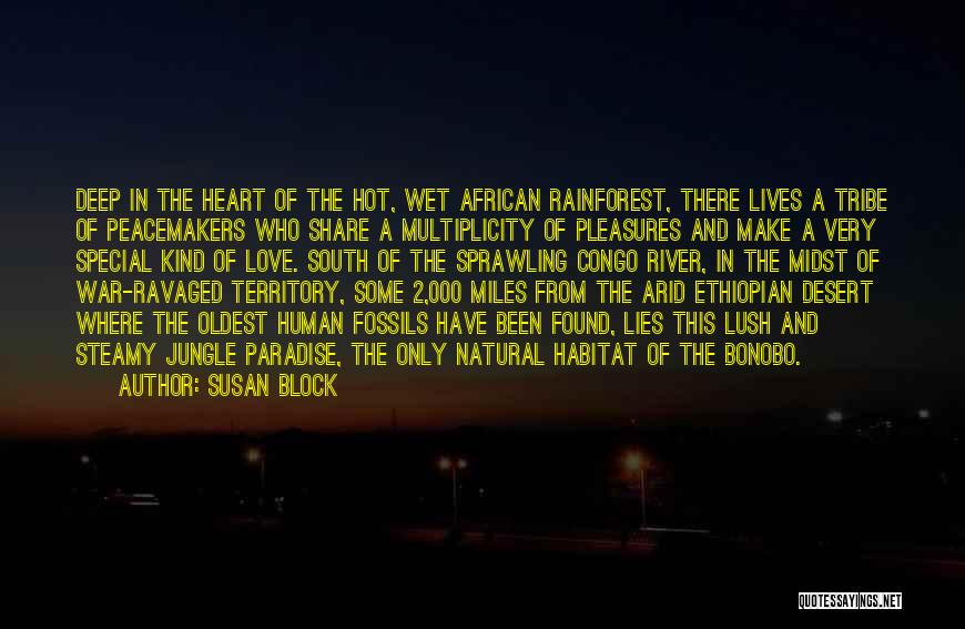 Love Africa Quotes By Susan Block