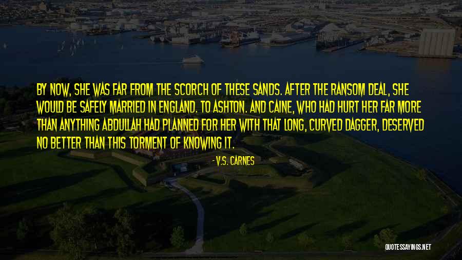 Love After Hurt Quotes By V.S. Carnes Love After Hurt Quotes By V.S. Carnes