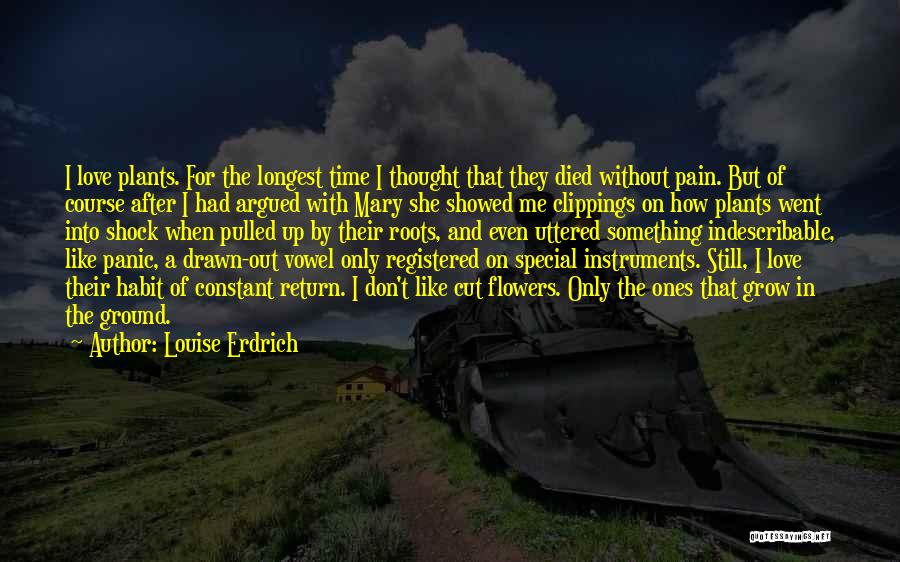 Love After Time Quotes By Louise Erdrich