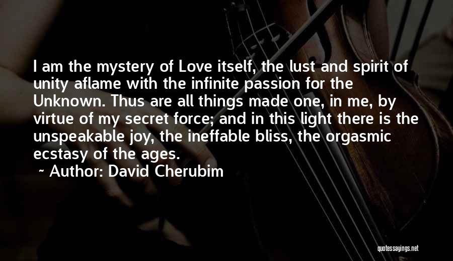 Love Ages Quotes By David Cherubim