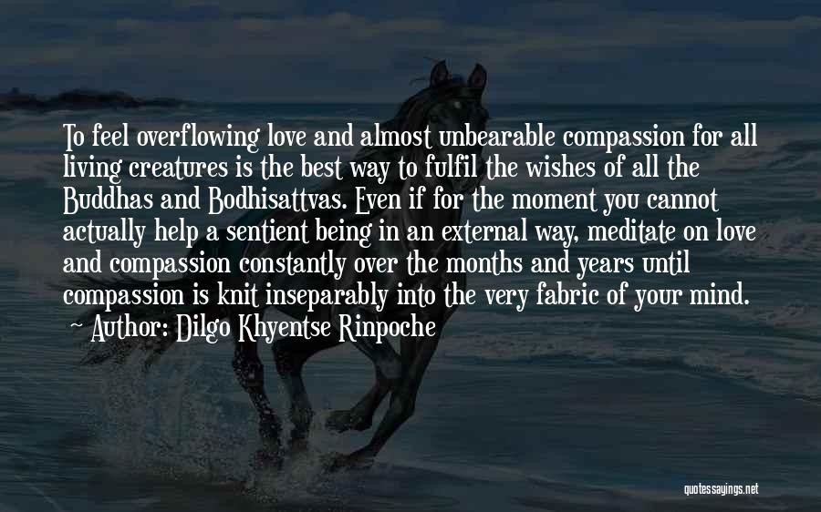 Love All Creatures Quotes By Dilgo Khyentse Rinpoche