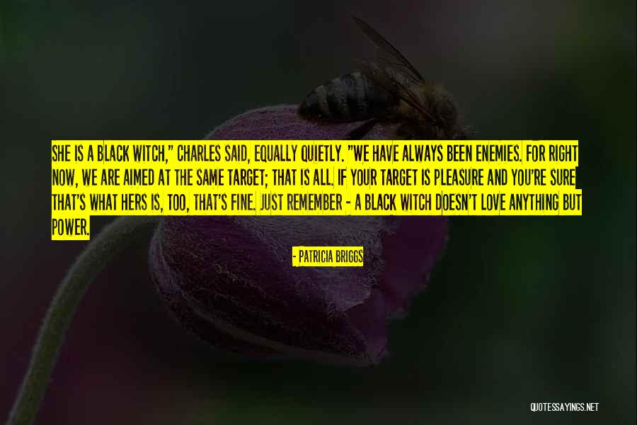 Love All Equally Quotes By Patricia Briggs Love All Equally Quotes By Patricia Briggs
