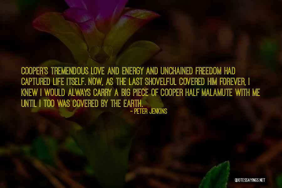 Love Always And Forever Quotes By Peter Jenkins Love Always And Forever Quotes By Peter Jenkins