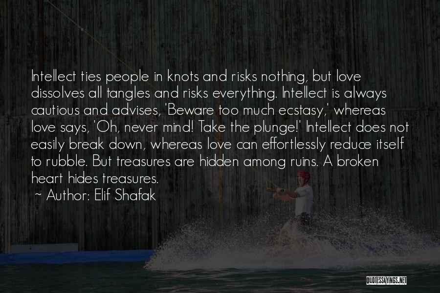 Love Among The Ruins Quotes By Elif Shafak