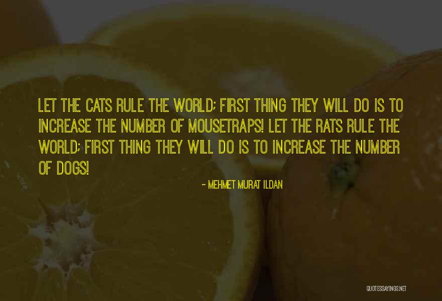Love And Age Gap Quotes By Mehmet Murat Ildan Love And Age Gap Quotes By Mehmet Murat Ildan