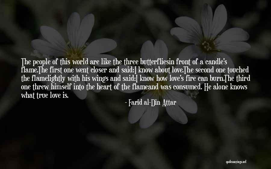 Love And Butterflies Quotes By Farid Al-Din Attar Love And Butterflies Quotes By Farid Al-Din Attar
