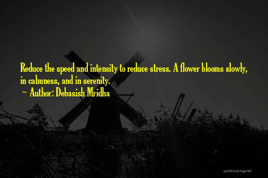 Love And Calmness Quotes By Debasish Mridha