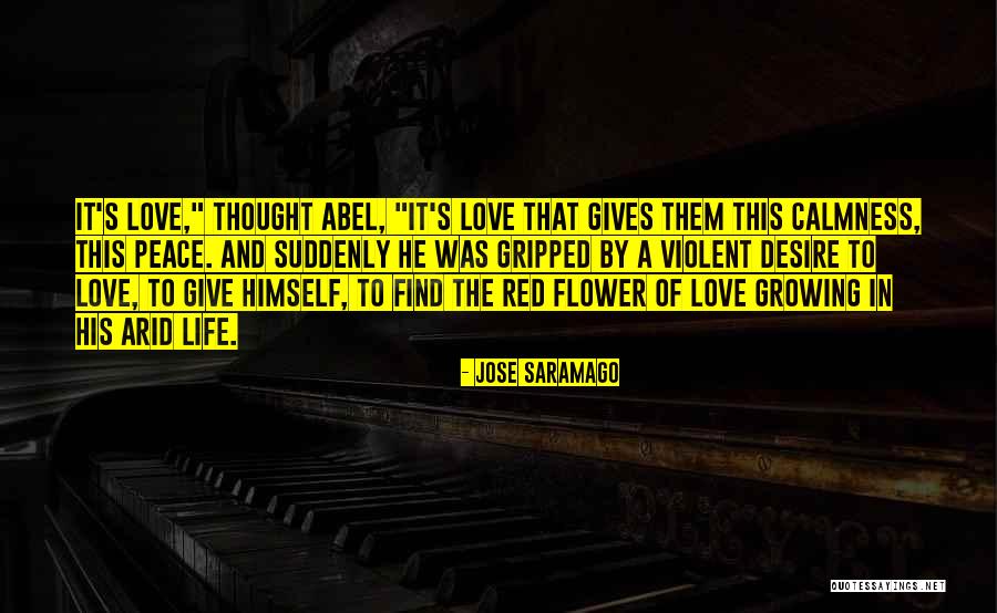 Love And Calmness Quotes By Jose Saramago