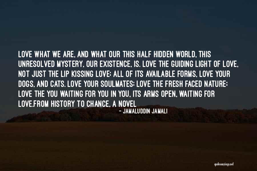 Love And Cats Quotes By Jamaluddin Jamali Love And Cats Quotes By Jamaluddin Jamali