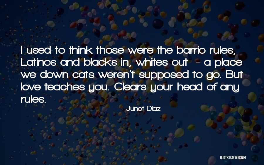 Love And Cats Quotes By Junot Diaz Love And Cats Quotes By Junot Diaz