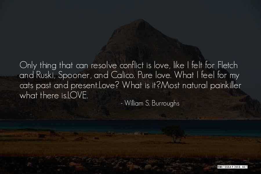 Love And Cats Quotes By William S. Burroughs Love And Cats Quotes By William S. Burroughs