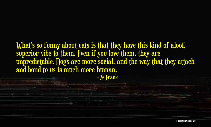 Love And Cats Quotes By Ze Frank Love And Cats Quotes By Ze Frank