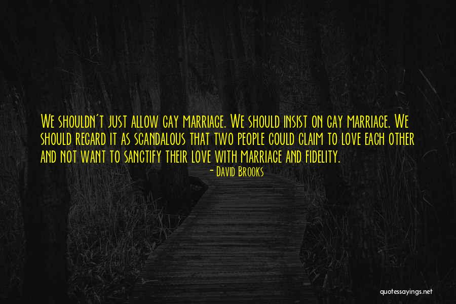 Love And Fidelity Quotes By David Brooks Love And Fidelity Quotes By David Brooks