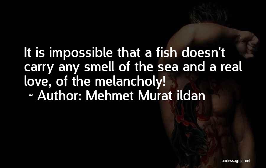 Love And Fish In The Sea Quotes By Mehmet Murat Ildan