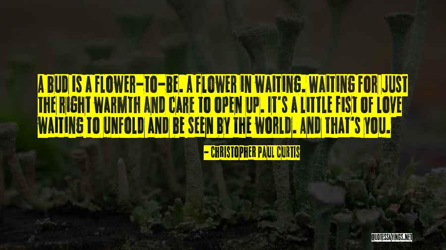 Love And Flower Quotes By Christopher Paul Curtis Love And Flower Quotes By Christopher Paul Curtis
