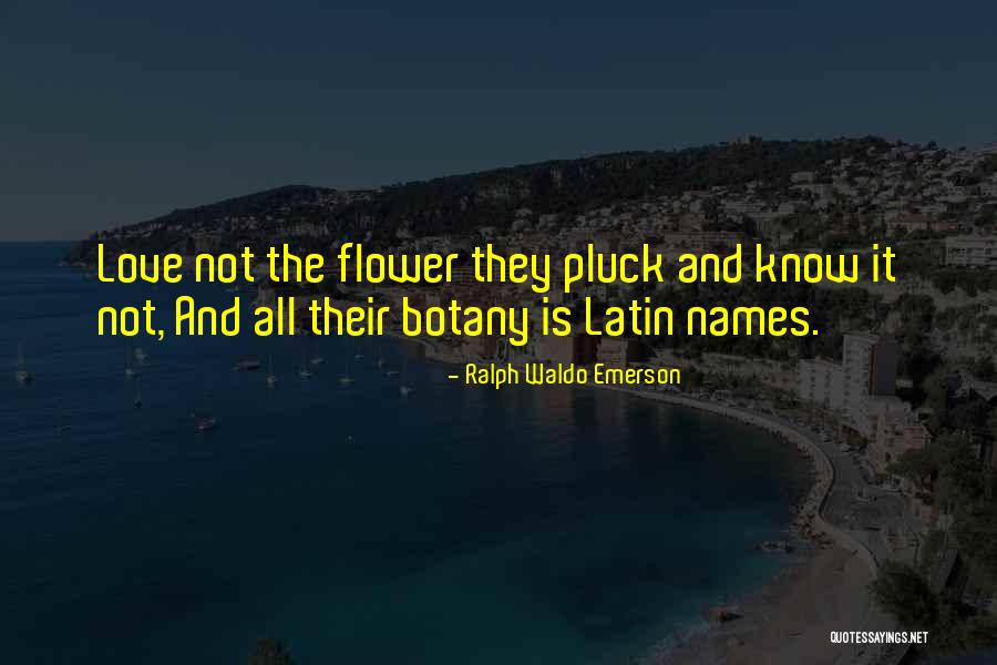 Love And Flower Quotes By Ralph Waldo Emerson Love And Flower Quotes By Ralph Waldo Emerson