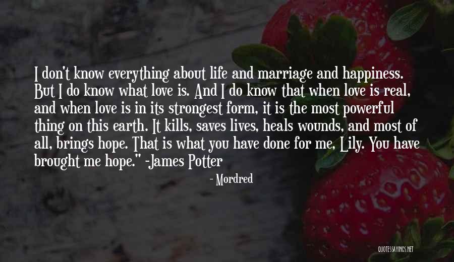 Love And Happiness In Life Quotes By Mordred