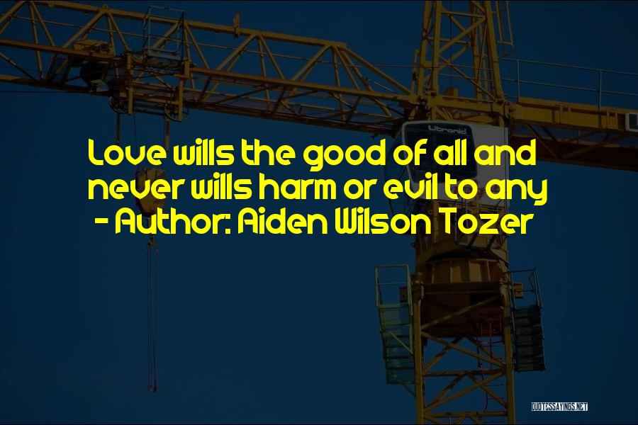 Love And Hurt Quotes By Aiden Wilson Tozer