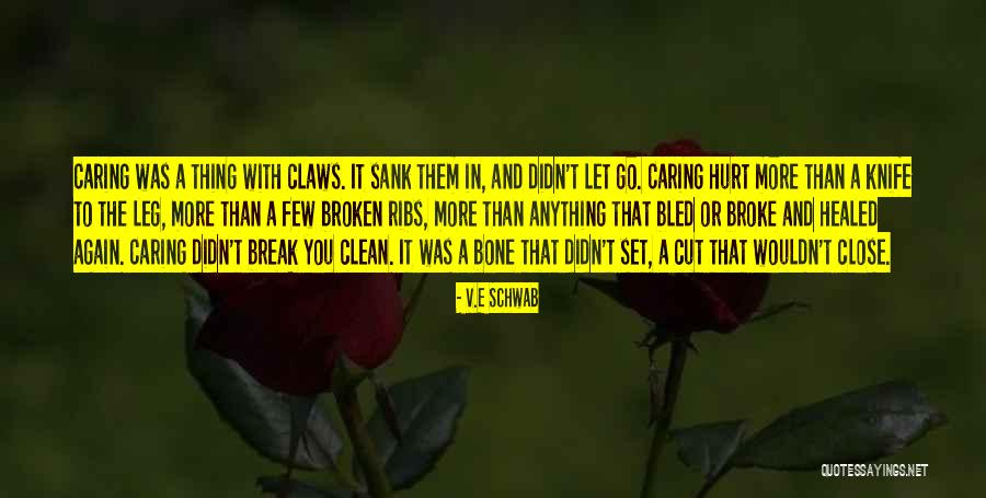 Love And Hurt Quotes By V.E Schwab