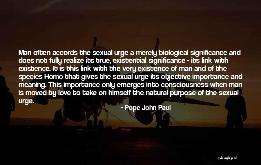 Love And Its Meaning Quotes By Pope John Paul