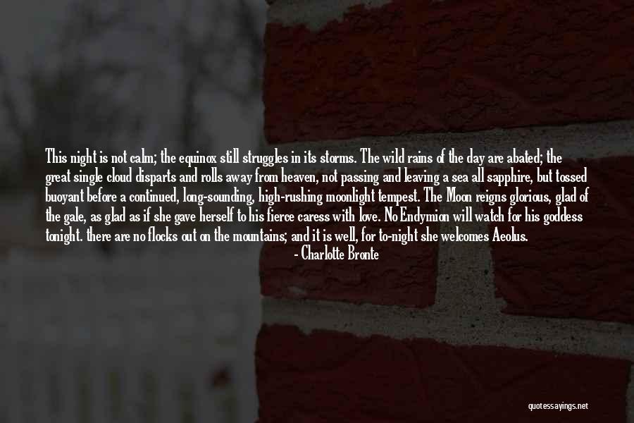 Love And Its Struggles Quotes By Charlotte Bronte