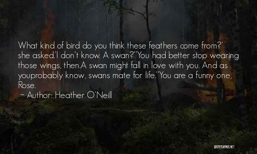 Love And Life Funny Quotes By Heather O'Neill