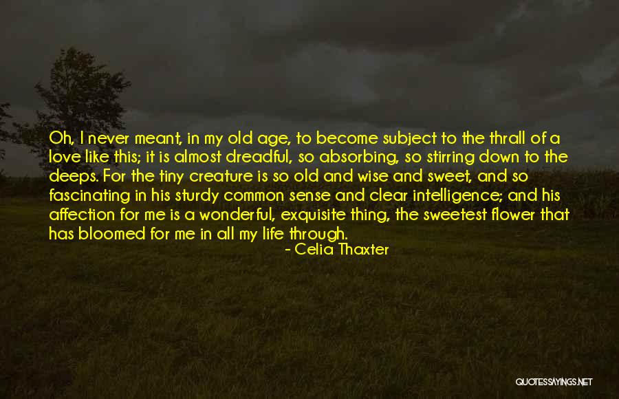 Love And Life Wise Quotes By Celia Thaxter Love And Life Wise Quotes By Celia Thaxter