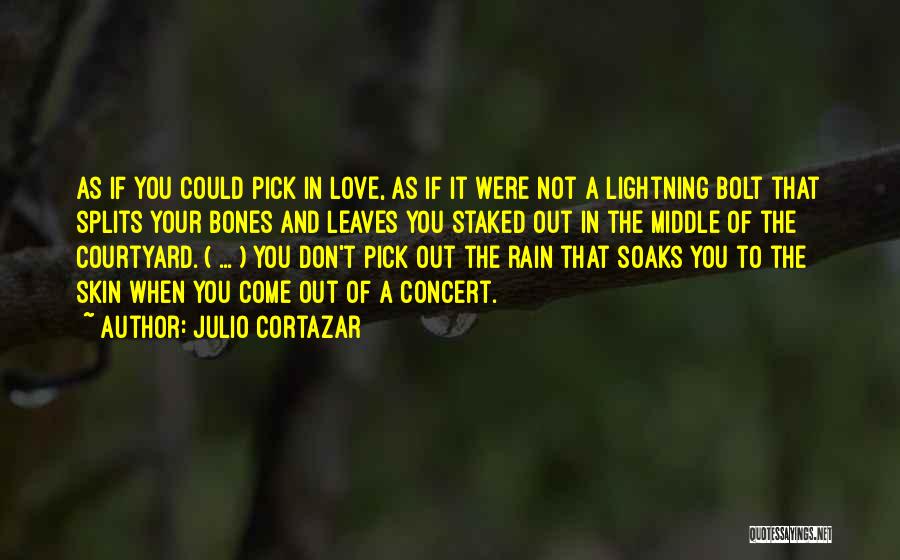 Love And Lightning Quotes By Julio Cortazar